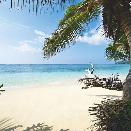 New Emerald Cove Hotel Baie Sainte Anne Ngoại thất bức ảnh